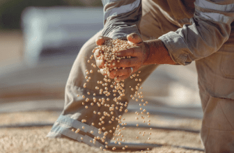 Is the deal with China an agreement or a handshake?