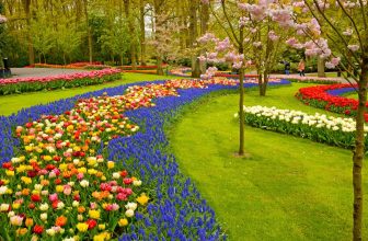 The Principles Of Gardening