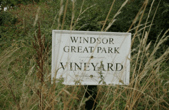 The Laithwaites, Tony Laithwaite Reflects on Life, Wine, and Legacy