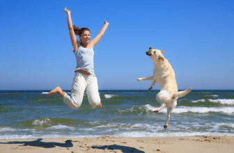 How Smart is Your Labrador?