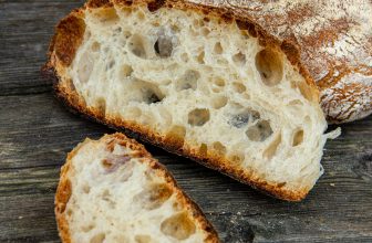 open crumb: Plötzblog