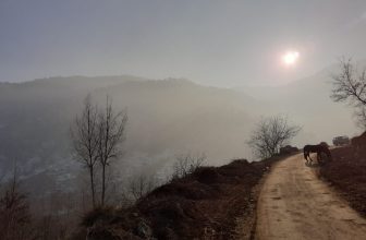 Sounding the Border – SAPIENS