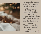 Week 4 – Sparrow’s Song Ministries