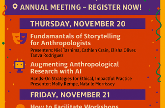 NAPA Professional Development Workshops at the AAA Annual Meeting