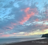 #SundayStills Monthly Colour Challenge ~ Pretty in #Pink #Photography #Nature