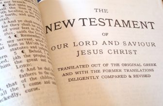 What would Jesus think of our politics and our treatment of neighbors?