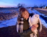 Adventure with a Snowy Owl