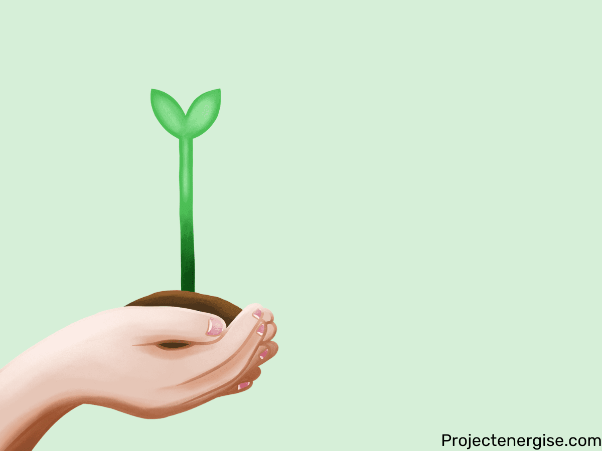 cornerstone habit gratitude