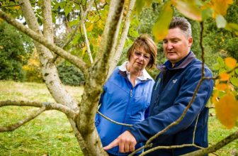 Urban Forest Pro Arborist Featured in the News!