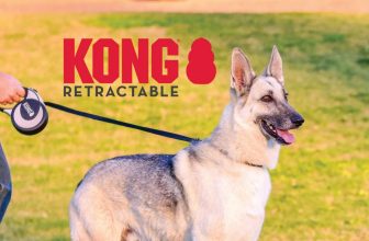 The Magic of KONG Retractable Leads