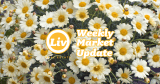 Edmonton Real Estate Weekly Market Update May16/25