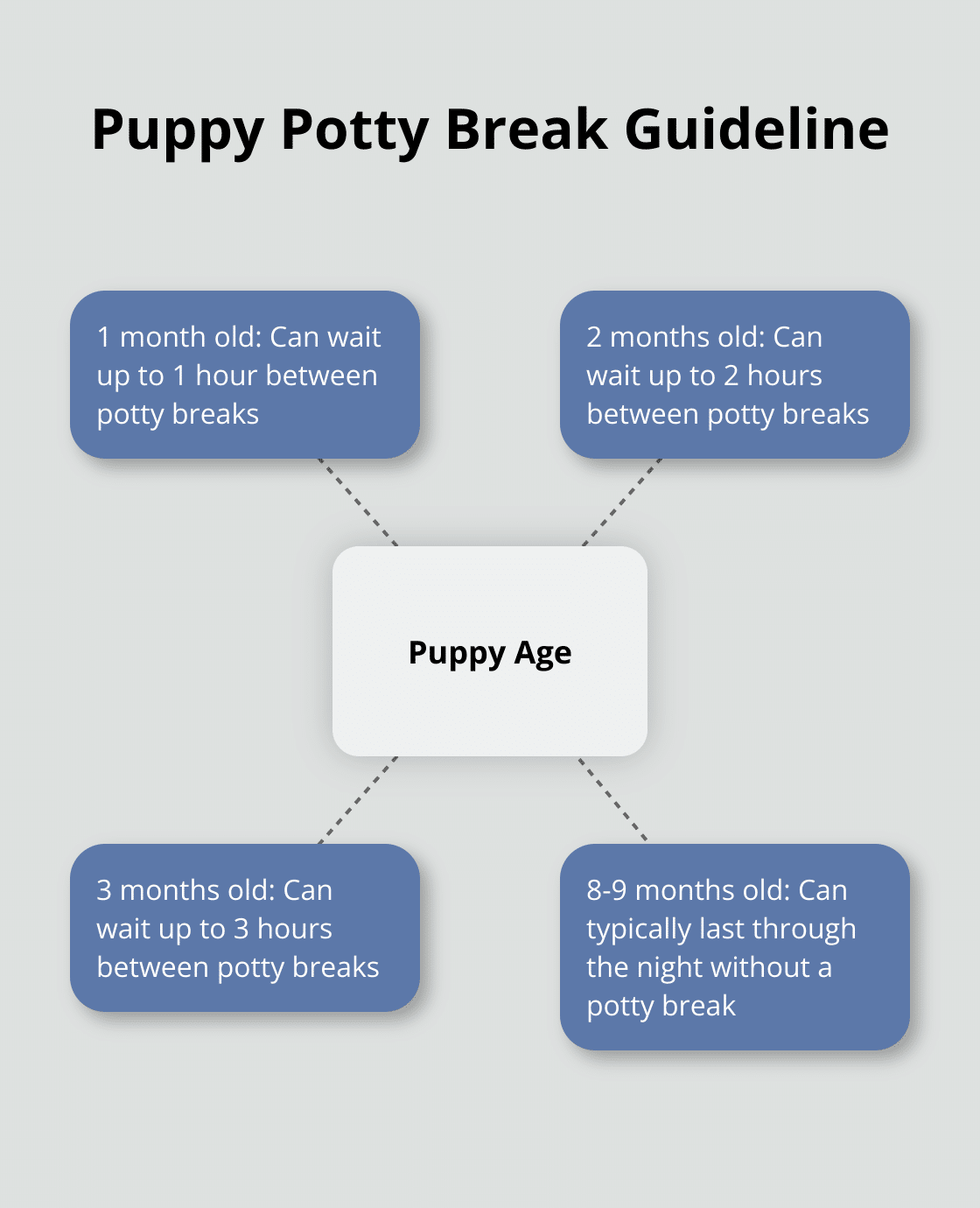 Hub and spoke chart showing the guideline for puppy potty breaks based on age