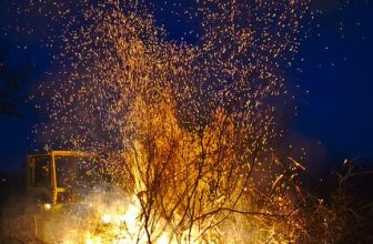 Tree Care & Fire Safety