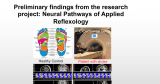The hypothesis that reflexology’s effects stem from nerve pathway activation
