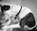 File 100 – Bubble Bath Bombed