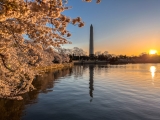 25 Day Trips from Washington DC (From a Local)