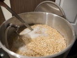 Mash Hopping to Enhance Beer Stability – BeerSmith™ Home Brewing Blog