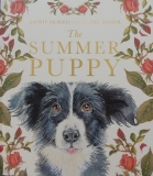 The Summer Puppy | Red Reading Hub – Jillrbennett’s Reviews of Children’s Books