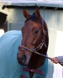 Blood on Their Hands | Armory of the Revolution