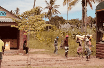 Mavuno Technologies: Empowering African Farmers