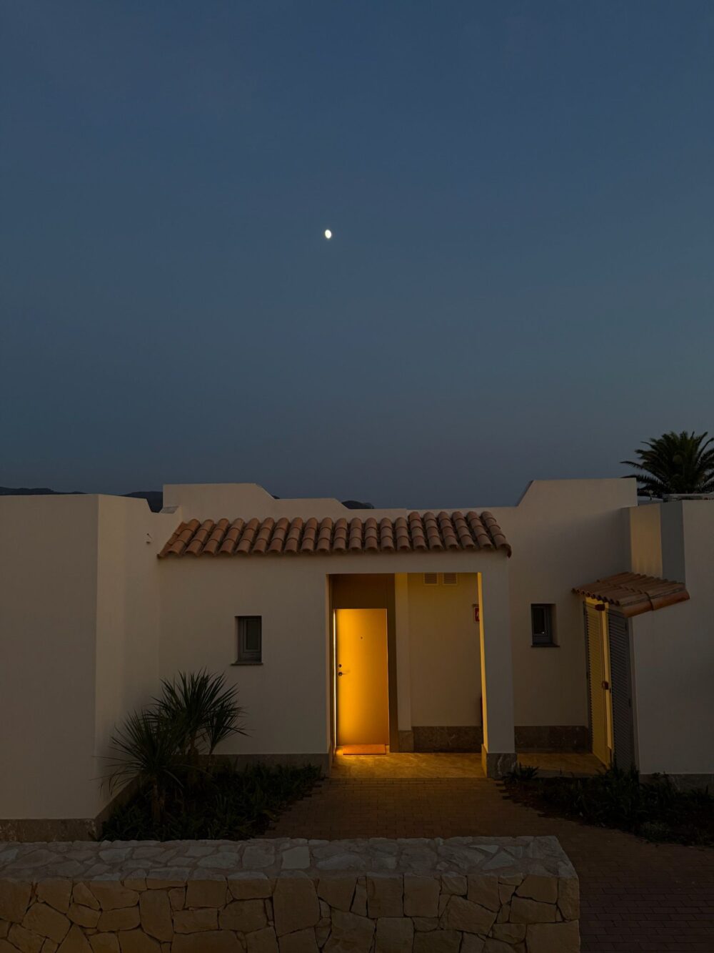 Ibiza Ploom
