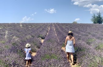 How to Plan a France Family Trip – Wild Junket