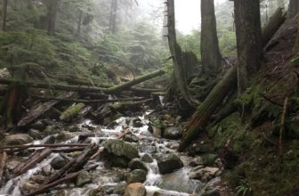 Hitting those Vancouver Trails! The 11 Best Hikes in Vancouver for 2018