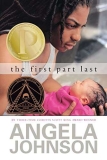 What to read after The First Part Last by Angela Johnson