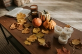 Fall finds to spice up your apartment