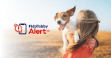 An Amber Alert for Pets That Has Helped So Many Fur Babies Reunite With Their Owners
