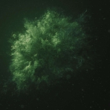 Nÿland * Hadley Roe – Ambientblog