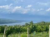 America’s Winemaking Past And Future Is Found In The Finger Lakes – ROCKIN RED BLOG
