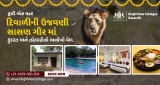 Bright View Cottages: Your Perfect Diwali Getaway in Sasan Gir