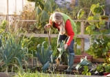 Do you need allotment insurance?