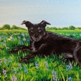 “Kimi”, gouache on paper