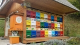 Slovenia’s Impressive Share In Keeping And Protecting Bees
