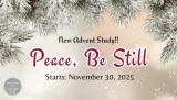 Will You Join Me For This New Advent Study on Peace