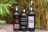 Madeira, An Island’s Liquid Jewel * Strong Coffee to Red Wine