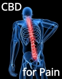 CBD Oil for Pain Management: Advantages & Uses