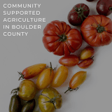 Cultivating Community: The Rise of Community Supported Agriculture in Boulder County – Jennifer Egbert