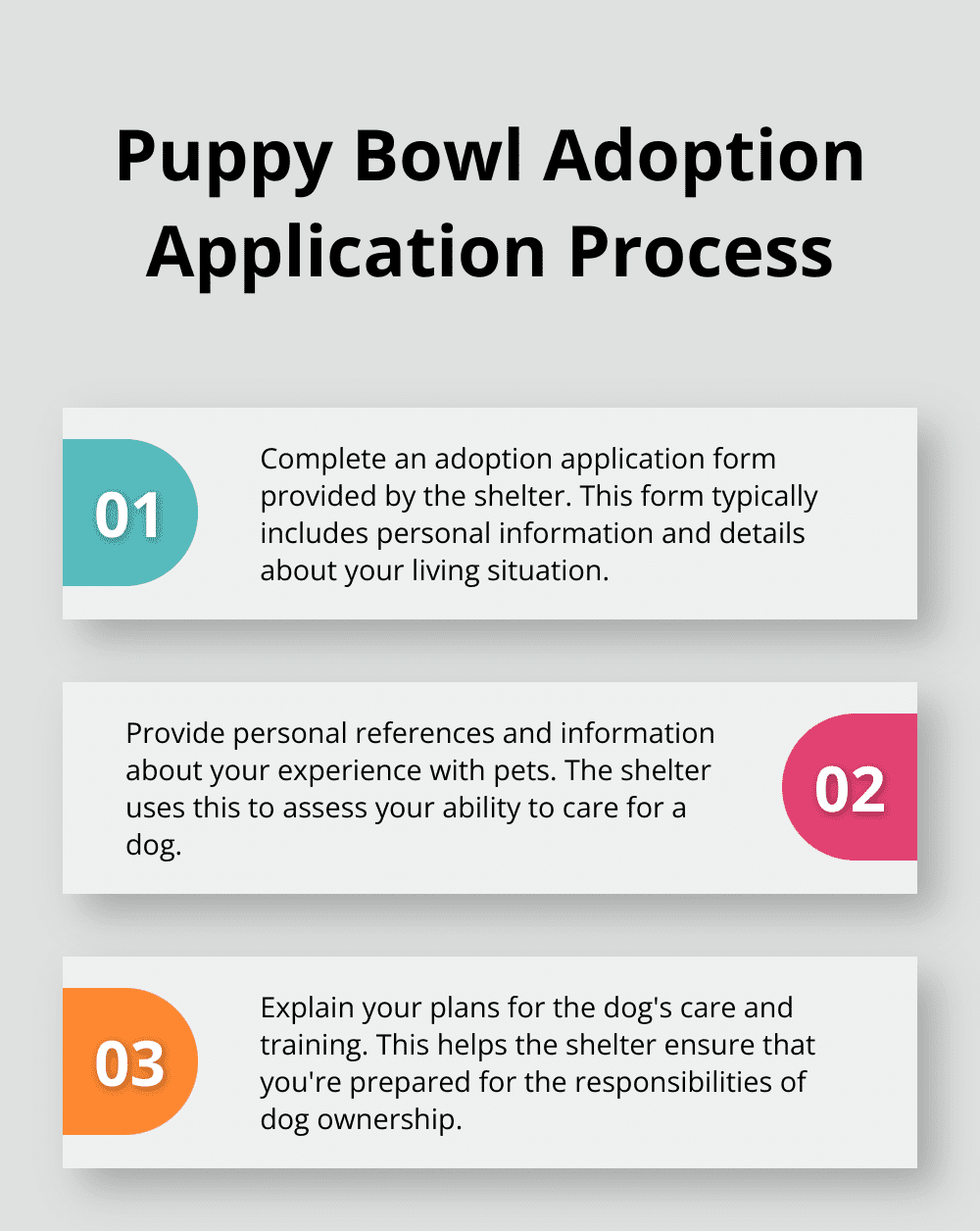 Ordered list of steps in the Puppy Bowl dog adoption application process - how to adopt puppy bowl dogs 2024
