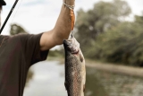 Trout Fishing: Prime Locations and Strategies