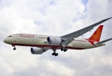 Thoughts and Theories on the Air India Disaster