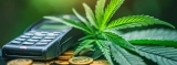 Is CBD Business Profitable? A Deep Dive
