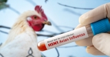 HHS cancels $776 million contract for H5N1 mRNA vaccine