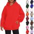 Premium Quality Plain Adults Hoodie Hooded Sweatshirts New Spirit Sizes S-XXL
