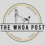 The Whoa Post Interview