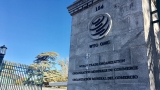 Why the WTO Must Confront Judicial Power – Jindal Forum for International and Economic Laws
