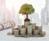 16 ‘Boring’ Investments That Pay You Every Month (Even in Your Sleep)