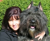 Announcement: Dog Training Nation Joins ABC